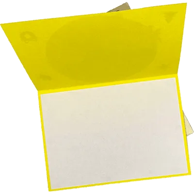 Houx et bougie de Noël